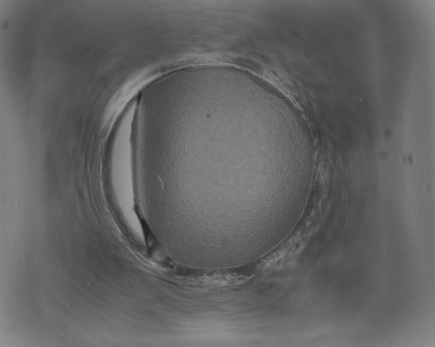 X0000071790103200607211632