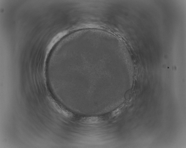 X0000071790104200607211632