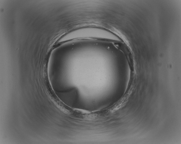 X0000071790105200607211632