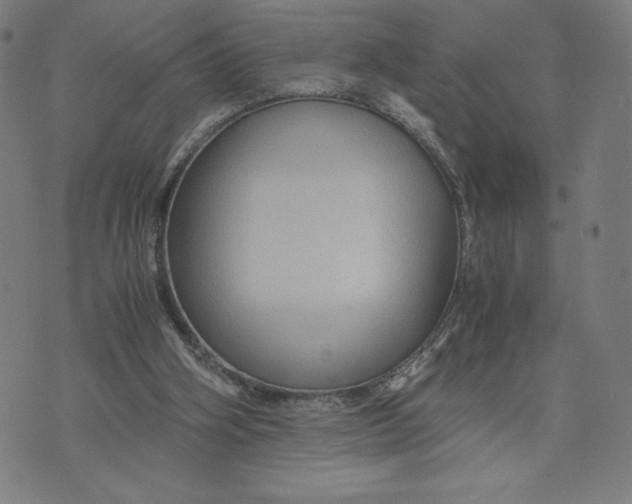 X0000071790106200607211632