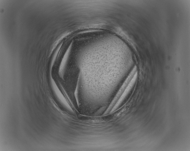 X0000071790107200607211632