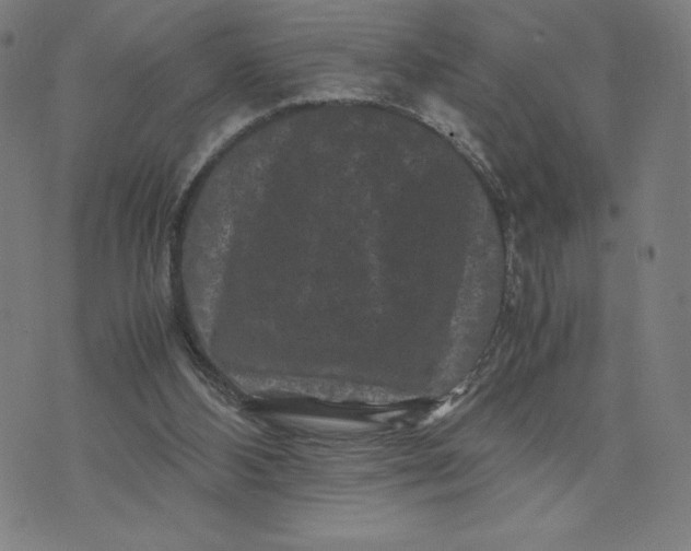 X0000071790108200607211632