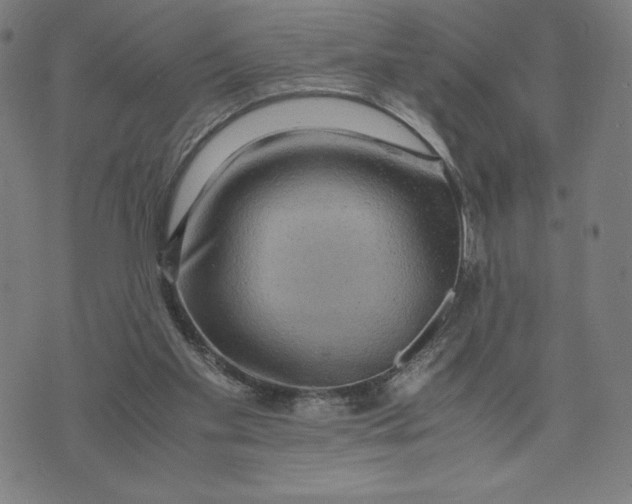 X0000071790109200607211632