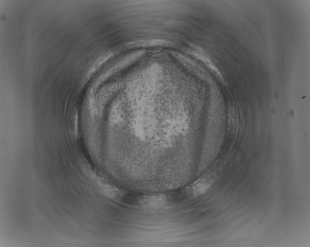 X0000071790110200607211632