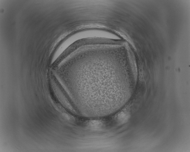 X0000071790111200607211632