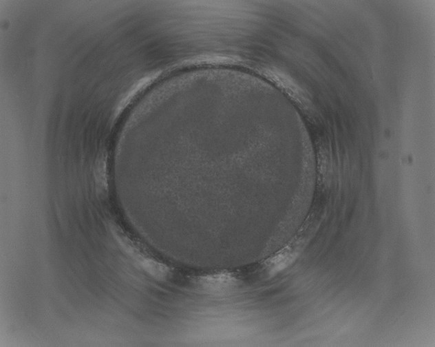 X0000071790112200607211632