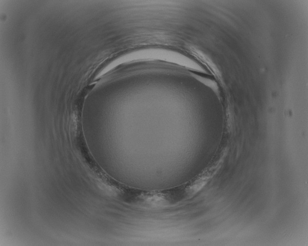 X0000071790113200607211632