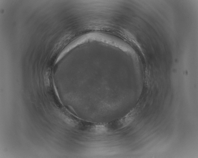 X0000071790114200607211632