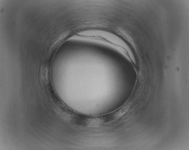 X0000071790115200607211632