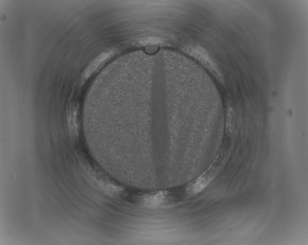 X0000071790116200607211632