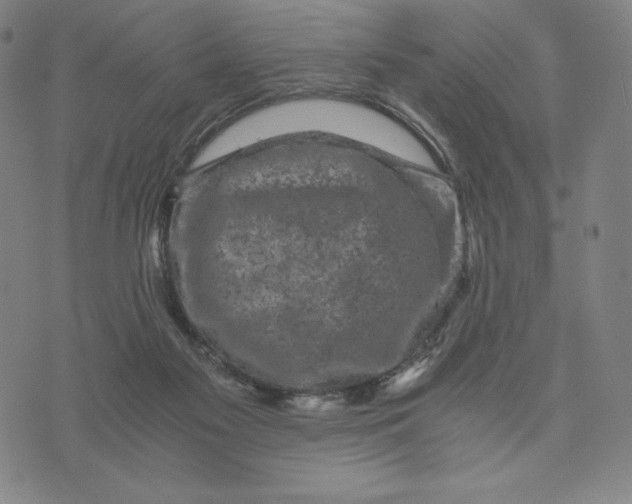 X0000071790117200607211632