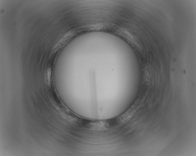 X0000071790118200607211632