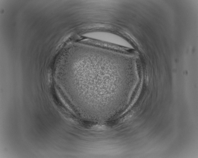 X0000071790119200607211632