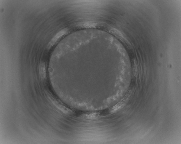 X0000071790120200607211632