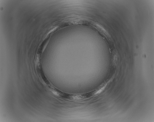 X0000071790121200607211632