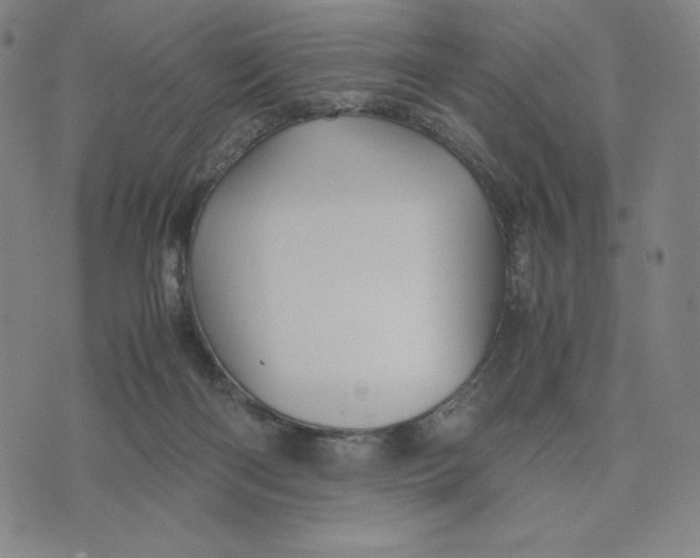 X0000071790122200607211632