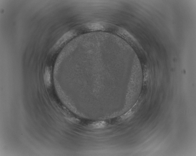 X0000071790124200607211632