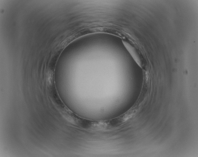 X0000071790125200607211631