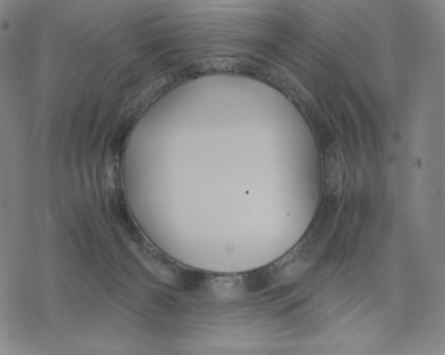 X0000071790126200607211631