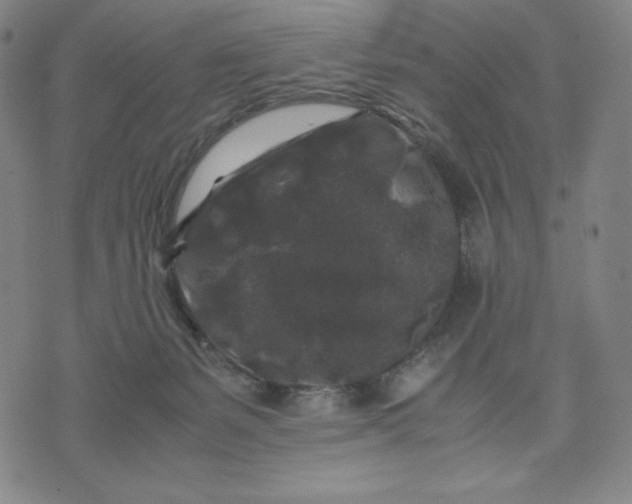 X0000071790127200607211631