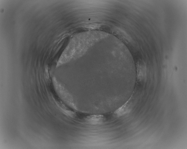 X0000071790128200607211631