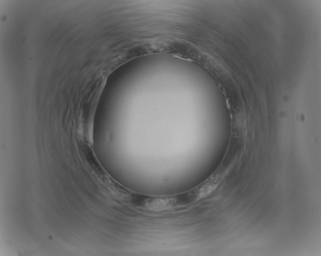 X0000071790129200607211631