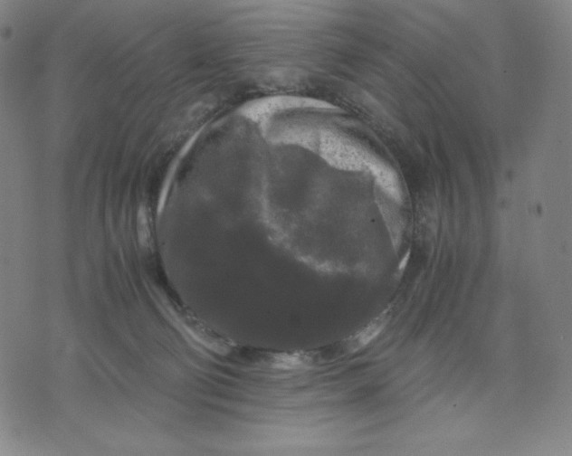 X0000071790130200607211631