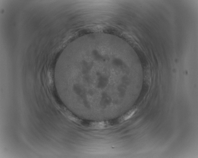 X0000071790131200607211631