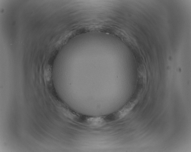 X0000071790133200607211631