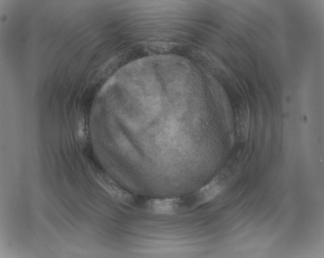 X0000071790134200607211631