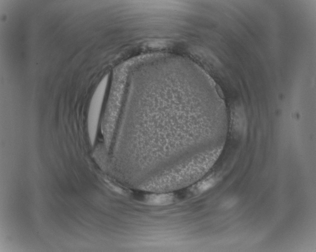 X0000071790135200607211631