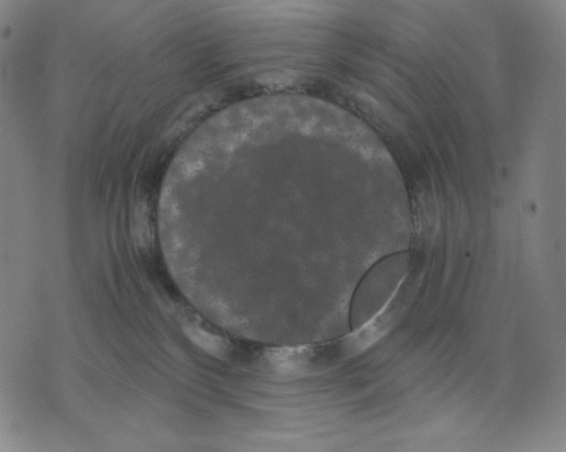 X0000071790136200607211631