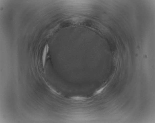 X0000071790137200607211631