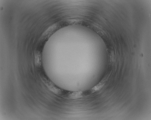 X0000071790138200607211631