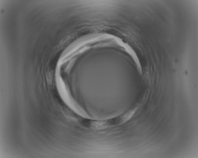 X0000071790139200607211631