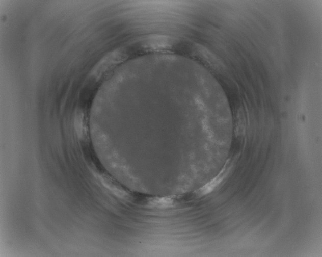 X0000071790140200607211631