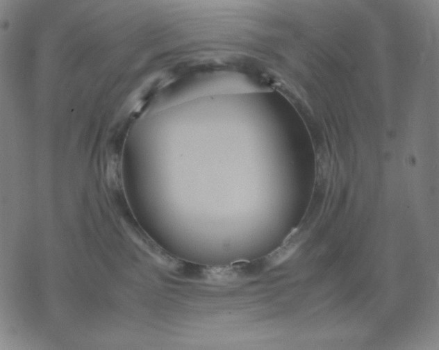 X0000071790141200607211631