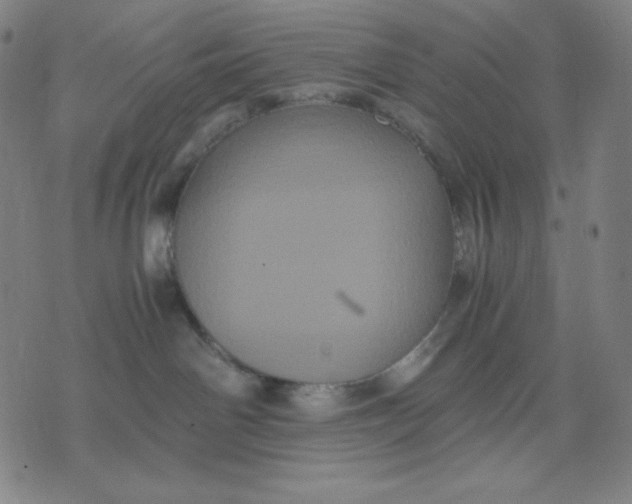 X0000071790142200607211631