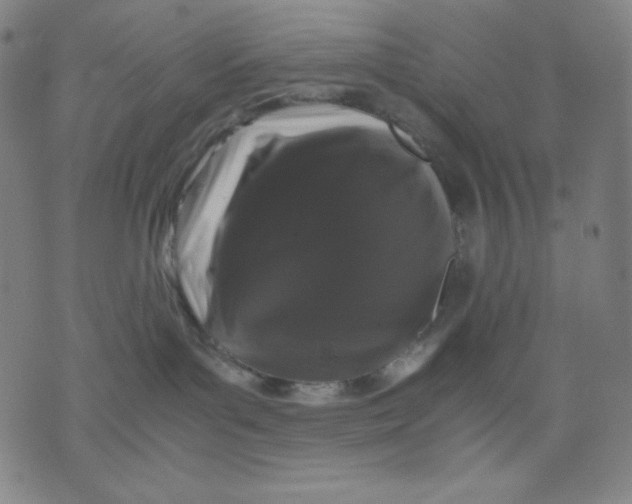 X0000071790143200607211631