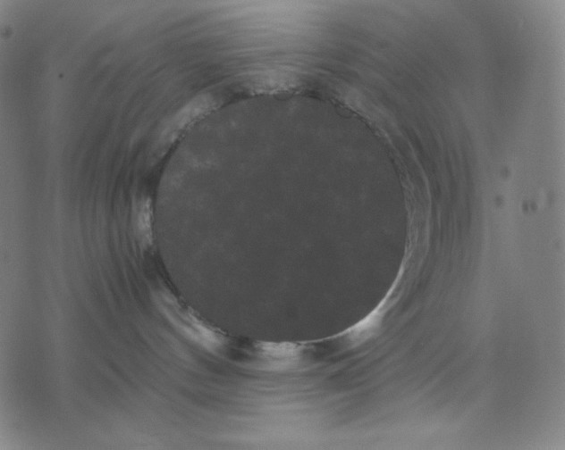 X0000071790144200607211631