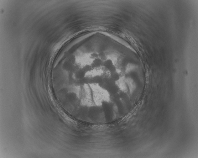 X0000071790145200607211630