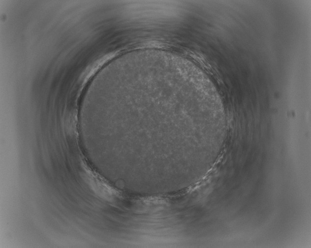 X0000071790146200607211630