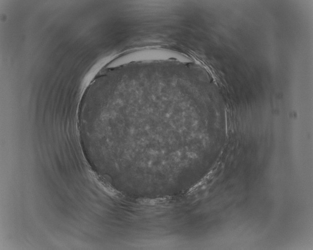 X0000071790147200607211630