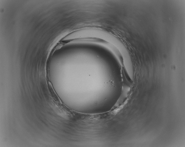 X0000071790148200607211630