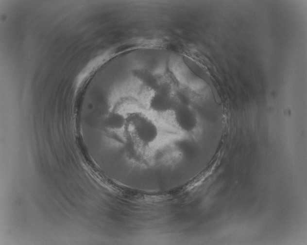 X0000071790149200607211630