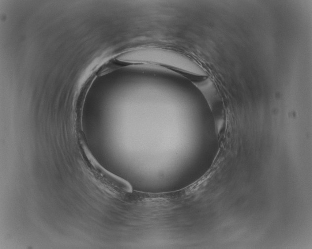 X0000071790150200607211630