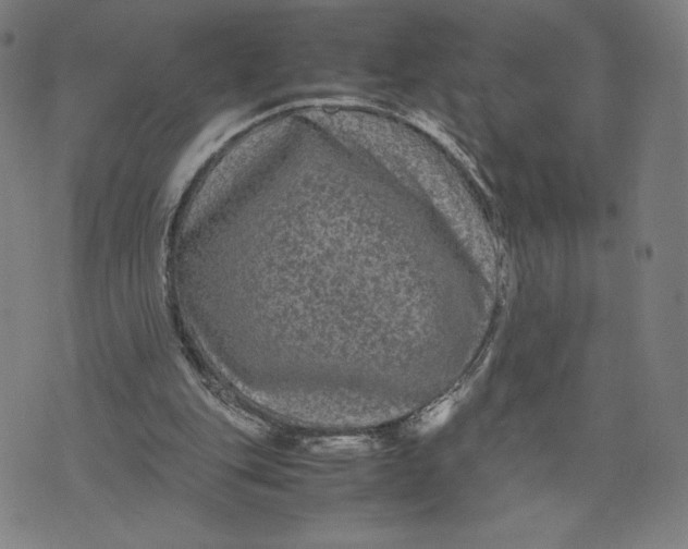 X0000071790151200607211631