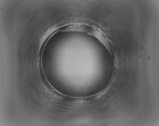 X0000071790152200607211631