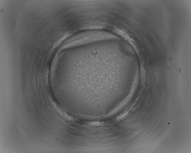 X0000071790153200607211631