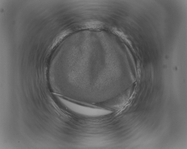 X0000071790154200607211631